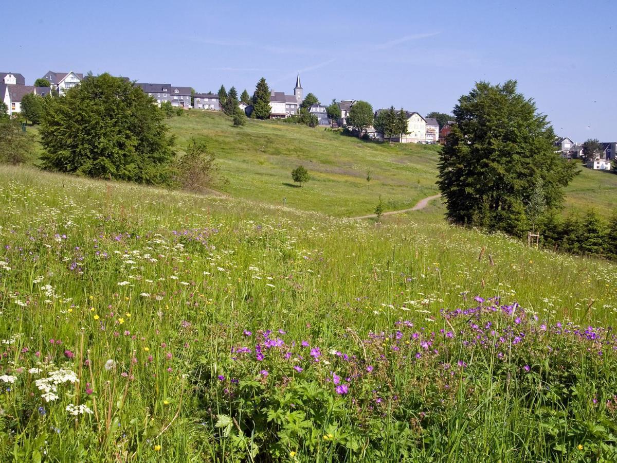 Villa Ferienhaus Wurzelbergblick à Masserberg Extérieur photo